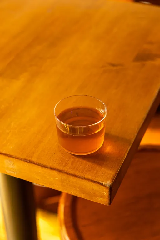 The Monkey and the Turtle Image