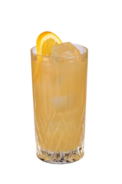 Havana Rum Punch Image