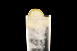 Porto Tónico (White Port & Tonic) lifestyle thumbnail