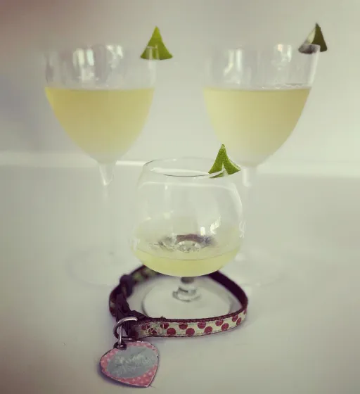 The Nina Cocktail Recipe | Discerning Drinker