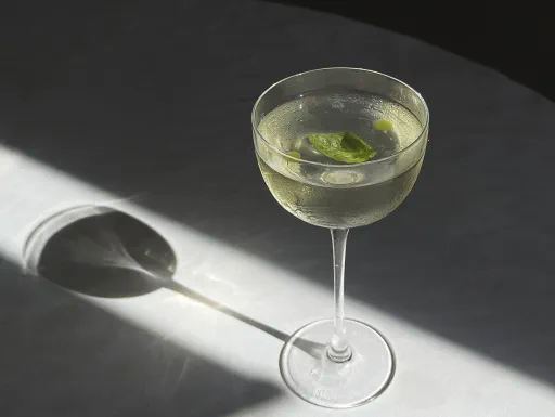 A Plastic Plant Image