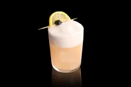Vodka Sour lifestyle thumbnail