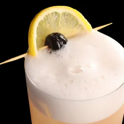 Vodka Sour image