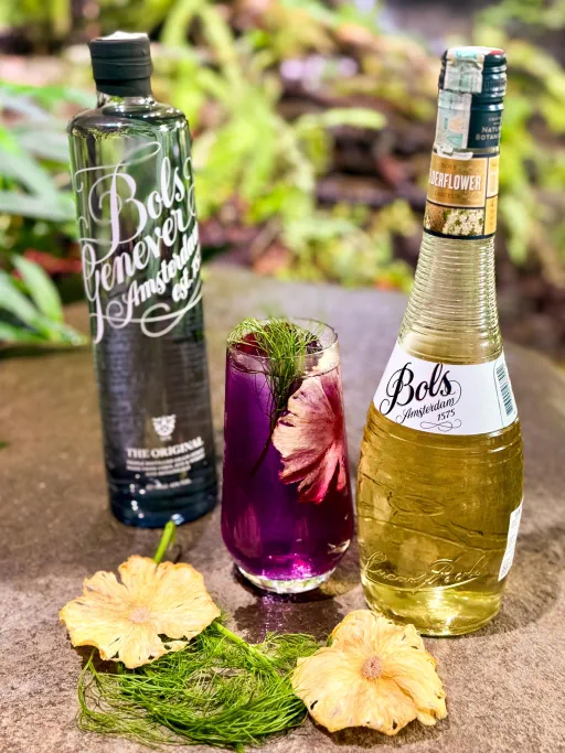 LIFE TURNS PURPLE Image