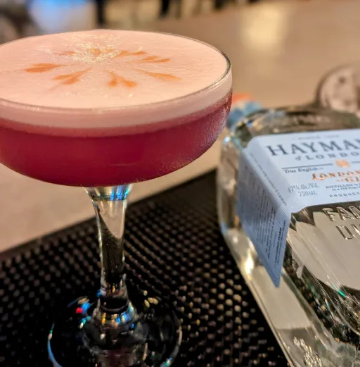 Ruby Rubicon Cocktail Recipe | Master Bartender