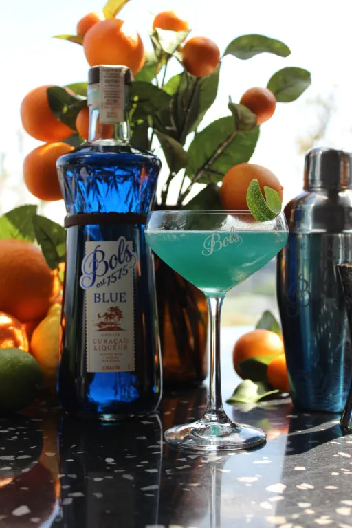 Blue Jamaican Yacht Club