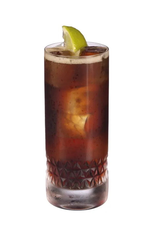 Lounge Lizard Image