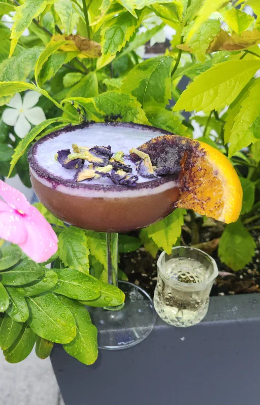 Passion & Petals Image