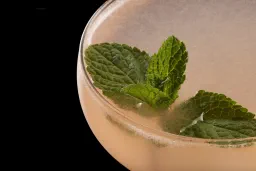 Swiss Kiss lifestyle thumbnail