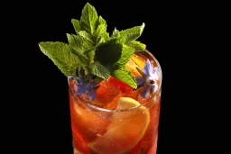 Difford's Fruit Cup No.1 (gin based & Pimm's Cup-like) lifestyle thumbnail