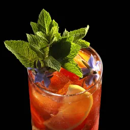 Difford's Fruit Cup No.1 (gin based & Pimm's Cup-like) image