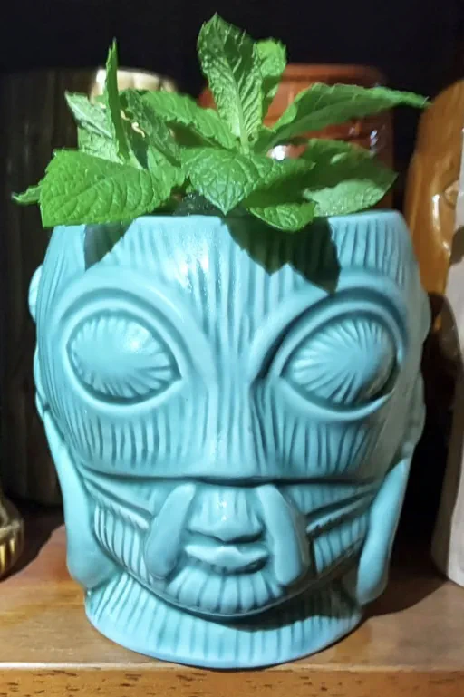 Chief Bamboo Bamboo Image