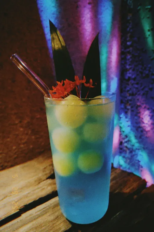 Meet The Tummy Tonic