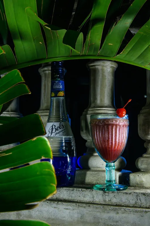 Purple Club Cocktail Recipe | Master Bartender