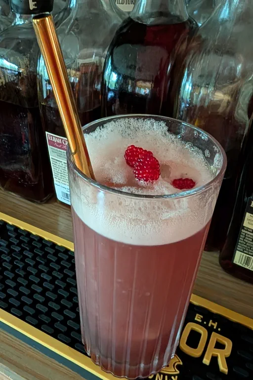 Blackberry Gin Fizz Image