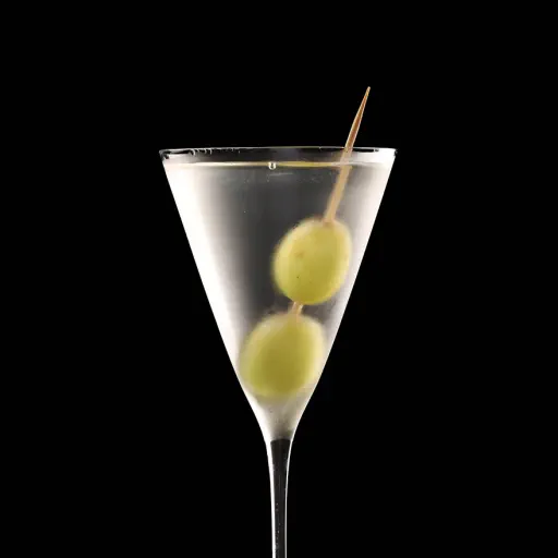 Voyager Vodka Martini Image