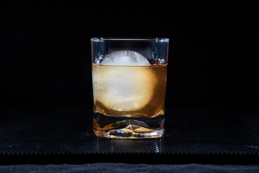 Puerto Rican Racer Image