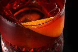 Amaryllis Negroni lifestyle thumbnail