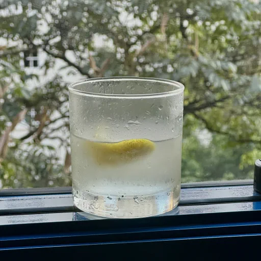Vodka Vesper Image