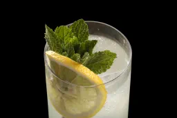 Limonzero Tonic lifestyle thumbnail