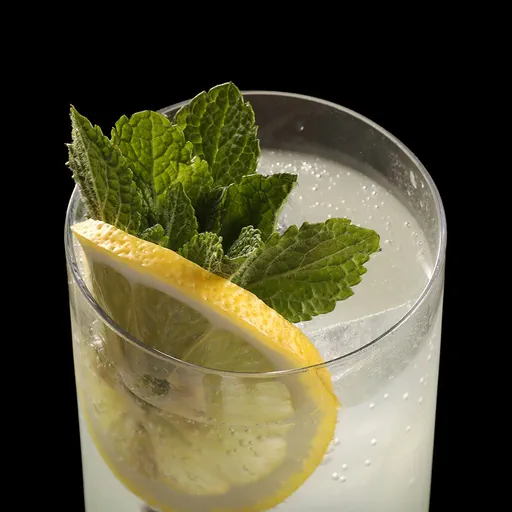 Limonzero Tonic Image