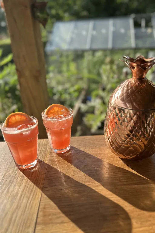 Paloma Punch Image