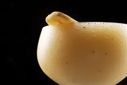 Banana Daiquiri lifestyle thumbnail