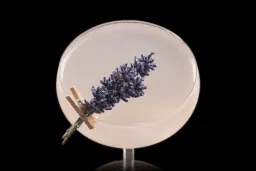 Lavender Margarita lifestyle thumbnail