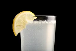 Gin Fizz lifestyle thumbnail