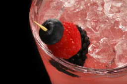 Gin Daisy lifestyle thumbnail