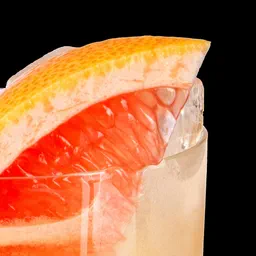 Paloma image