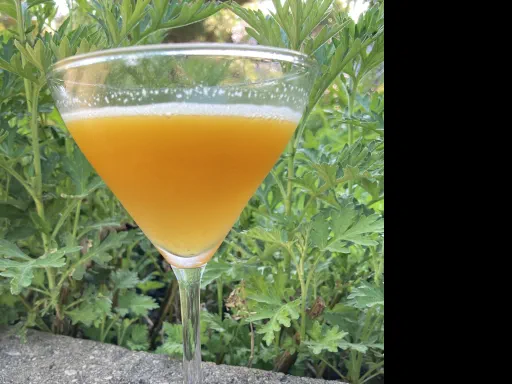 Thorny Firecracker Image