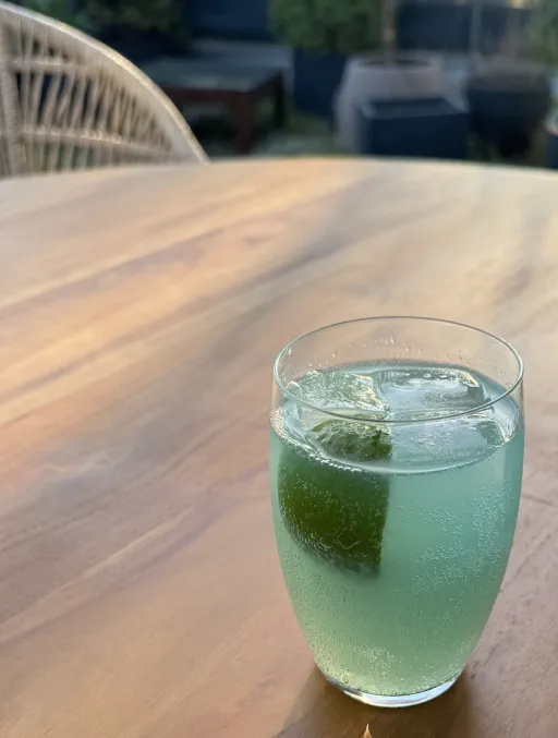 Blue Paloma Dream Image