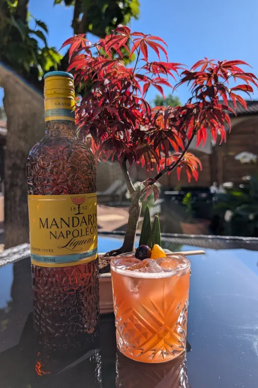 Napoléon's parrot Image