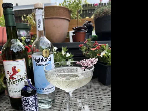 Birch & Elderflower Martini Image