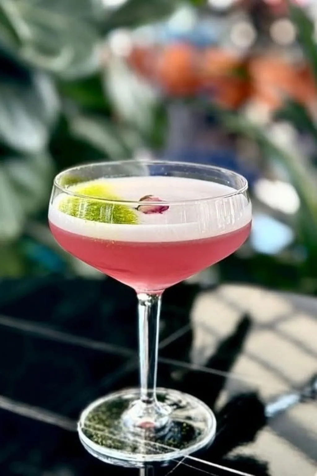 The Pink Parrot