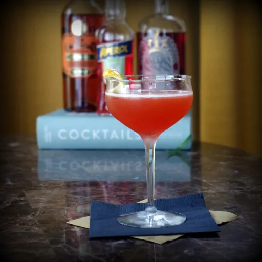 Paper Plane (DJS) Image