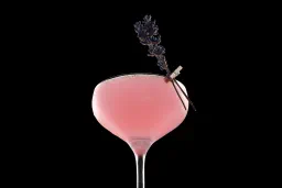 Floral Daiquiri lifestyle thumbnail