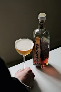 French Reviver image