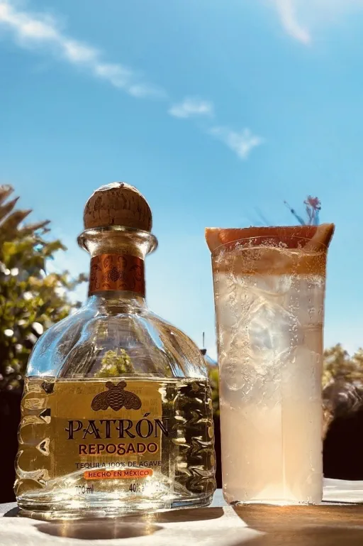 Paloma Between Two Suns Image