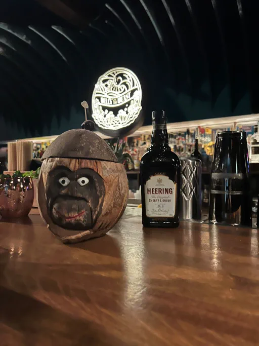 Island in the snow Image