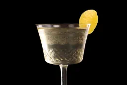 Vermouth Cocktail lifestyle thumbnail