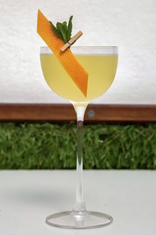 Second Edition Image