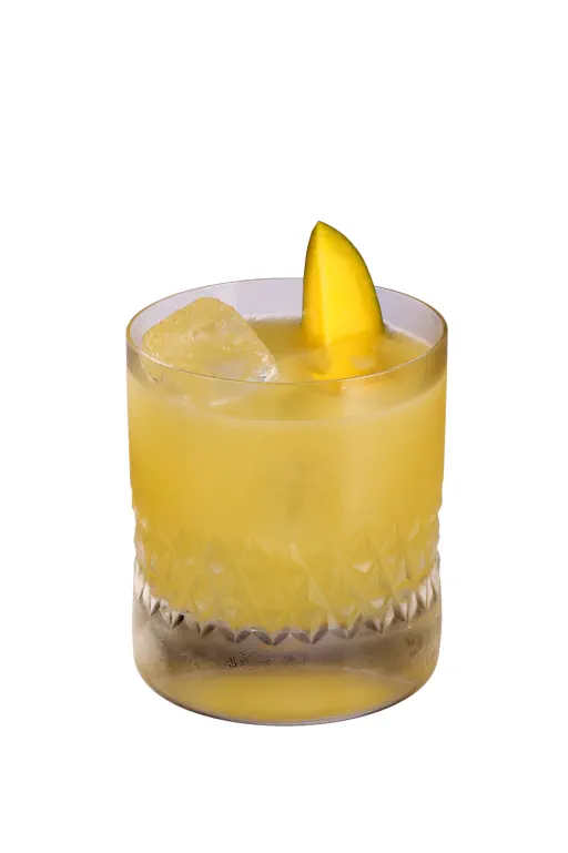 Yucatán Margarita Image