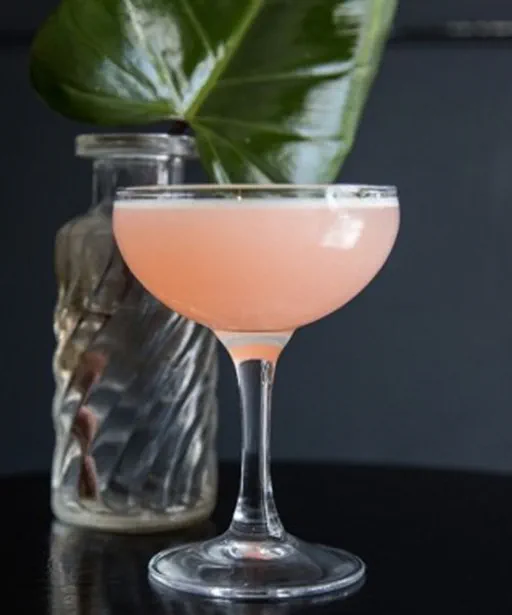 Fitzpleasure Image