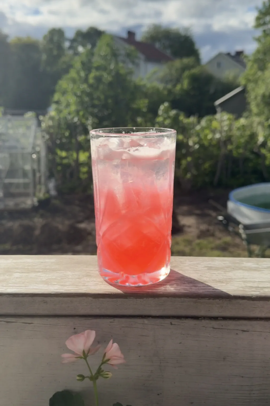 Juniper Razzbarb