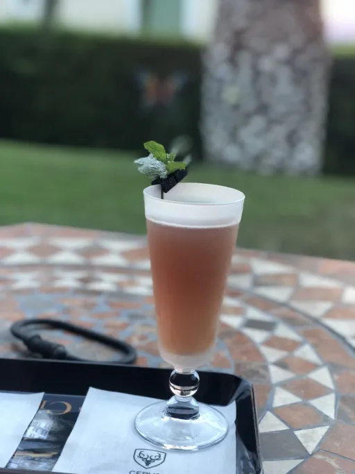 Prince of Wales - Widder Bar Image