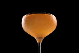 Light & Day lifestyle thumbnail