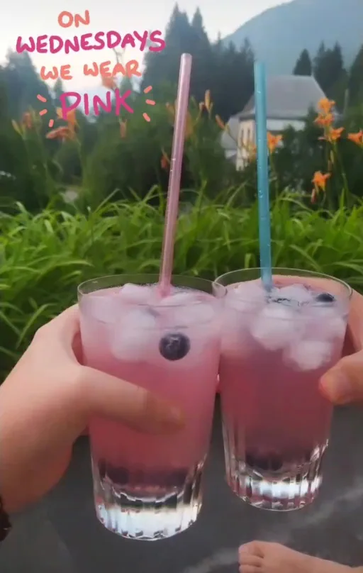 Pink Wednesday's Gin Daisy