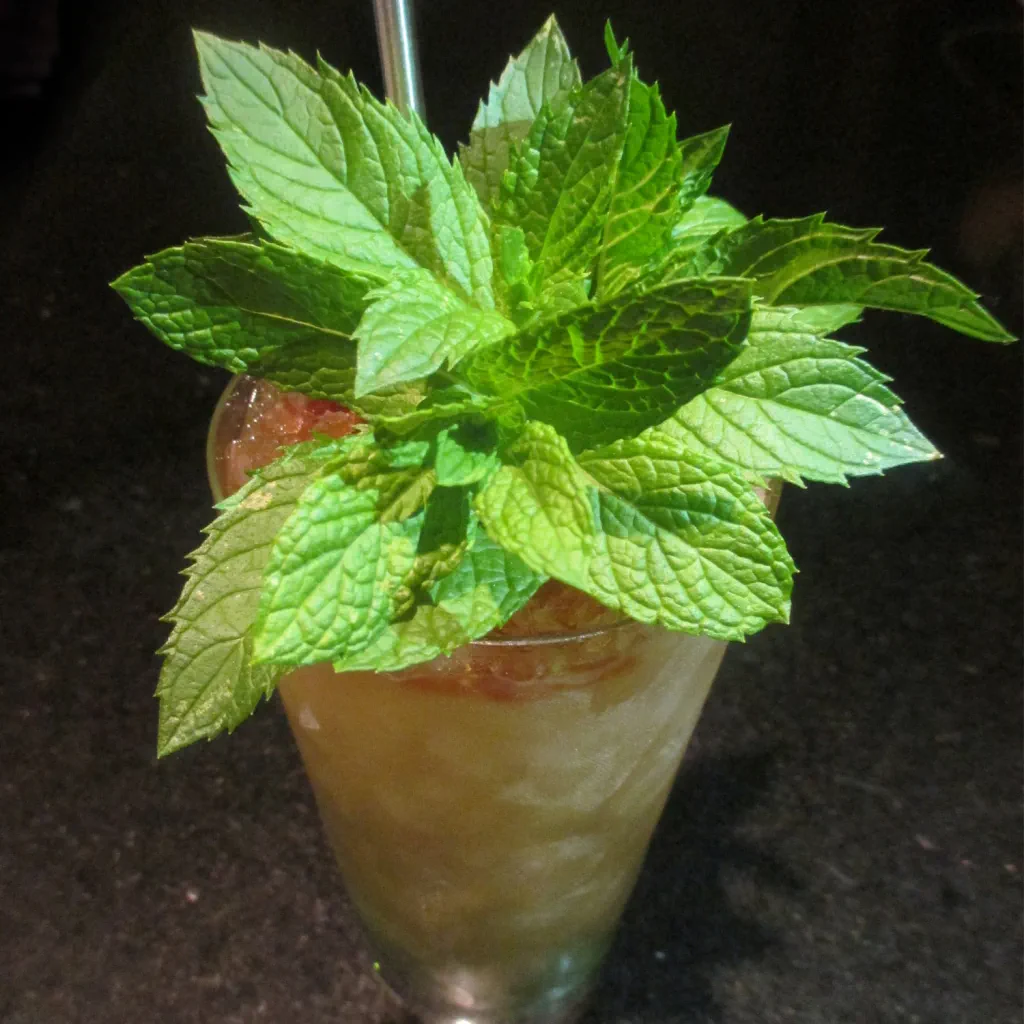 Park Genovés Swizzle